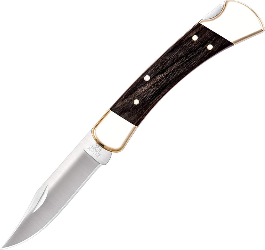 Buck Knives 110 Famous Folding Hunter Knife with Genuine Leather Sheath