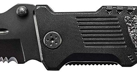 Smith & Wesson Border Guard SWBG2TS 10in High Carbon S.S. Folding Knife with 4.4in