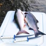 Best Fishing Knife