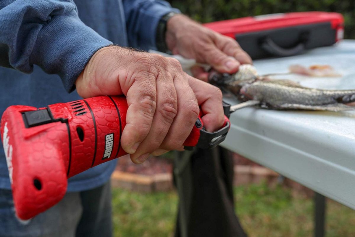 Best Knife for Fishing