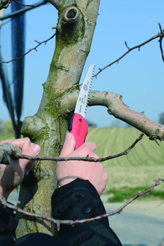 Best Bushcraft Folding Saw Review