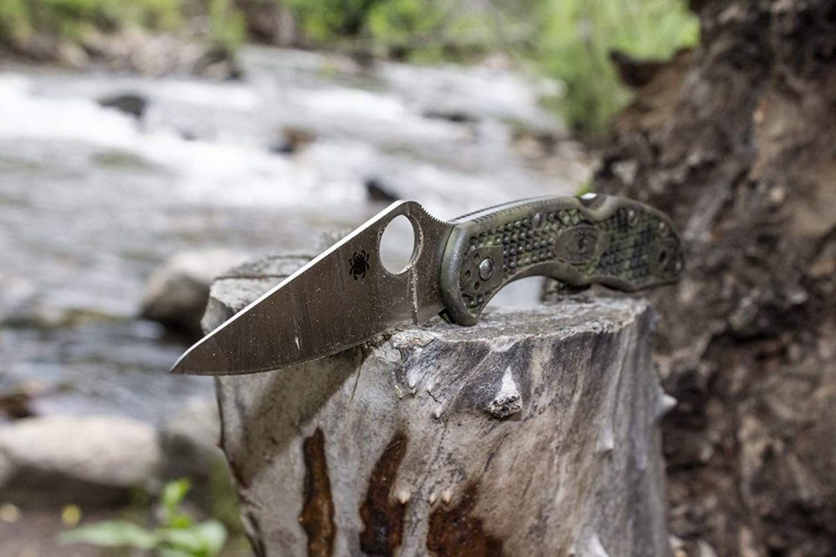 Top 10 Best Budget Spyderco Knife Review