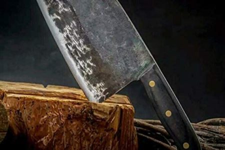 LY1122 for Hunters Serbian Chef Knife