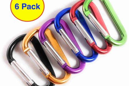 Neteez Keychain Carabiner Clip
