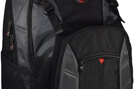 SwissGear The Sherpa 15.6 Inches Padded Laptop Backpack