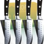 DALSTRONG Steak Knives - Set of 4