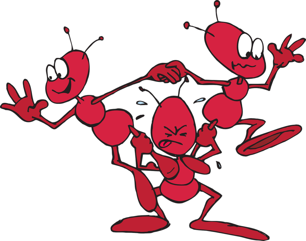 Interesting Facts About Ants