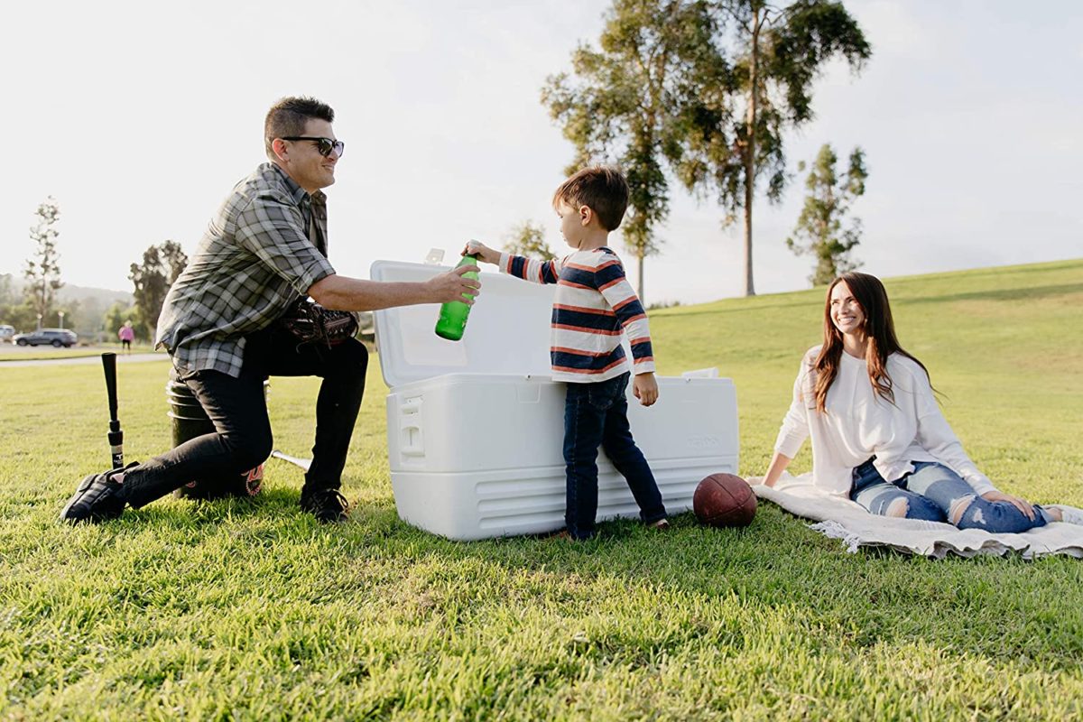 Things To Consider While Buying The Best Fishing Coolers